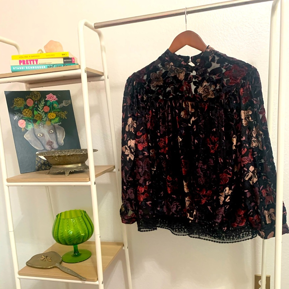 Anthropology Velvet sheer blouse